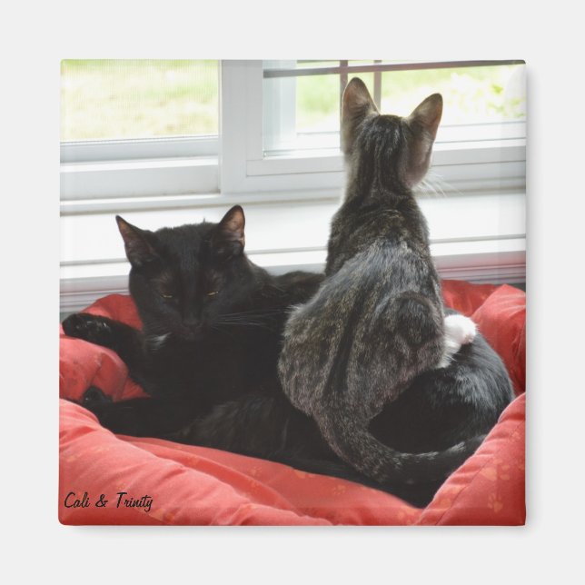 Íman Trinity & Cali (Frente)