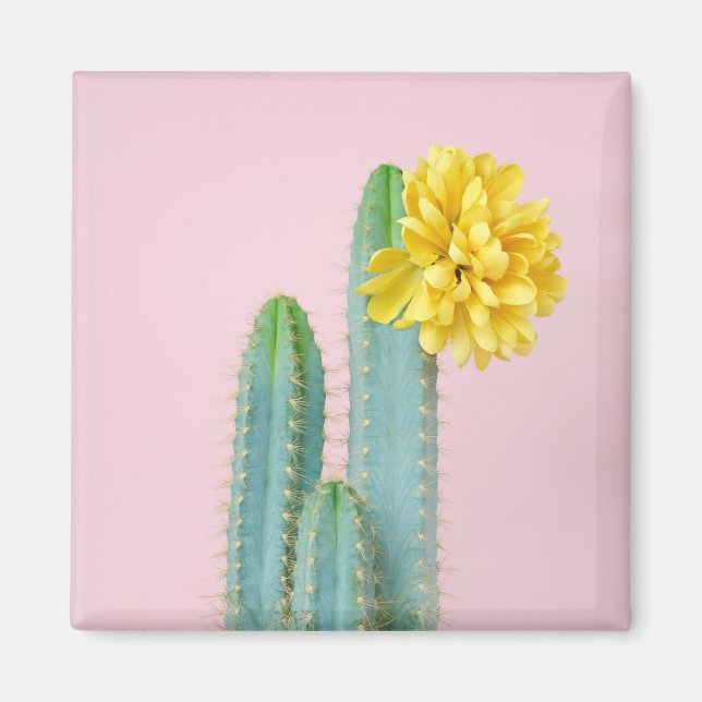 Íman Trio de Cactus Azul (Frente)