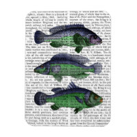 Trio de Peixes Azul e Verde
