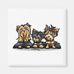 Íman Trio de Yorkie