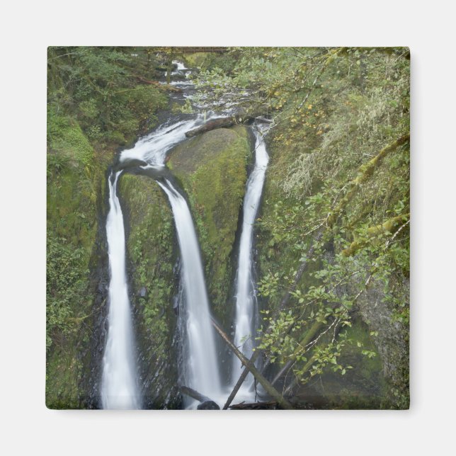 Íman Triple Falls, Desfiladeiro do Rio Columbia (Frente)