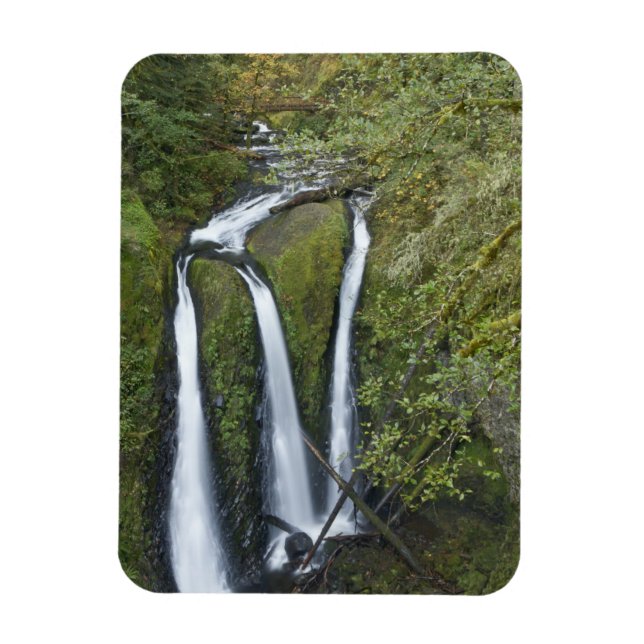 Íman Triple Falls, Desfiladeiro do Rio Columbia (Vertical)