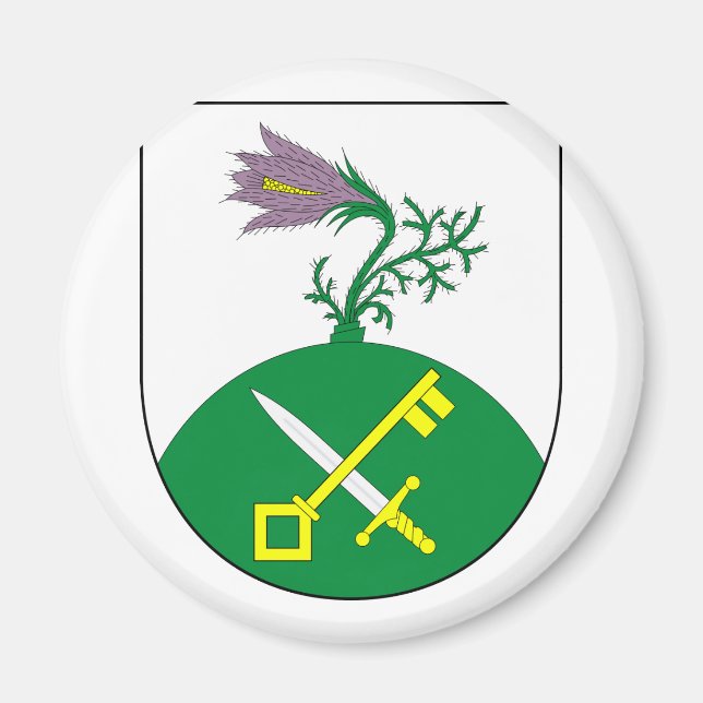 Íman Trnava TR, checo (Frente)