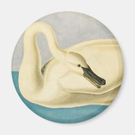 Íman Trompeter Swan por John James Audubon, Vintage Bir