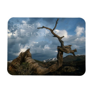 Íman Tronco de Pinheiros-Limpadores Torcidos, Crateras