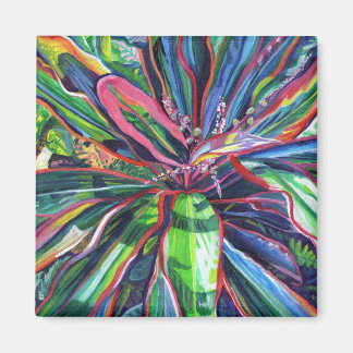 Íman Tropical Colorida Ti Deixa Magnet