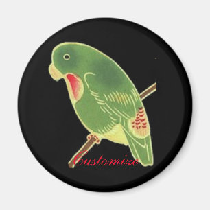 Íman Tropical Green Parakeet Thunder_Cove