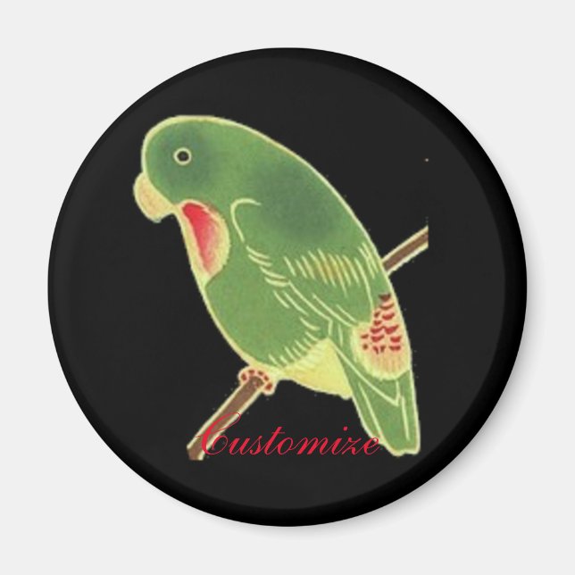 Íman Tropical Green Parakeet Thunder_Cove (Frente)