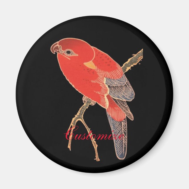 Íman Tropical Red Parrot Thunder_Cove (Frente)