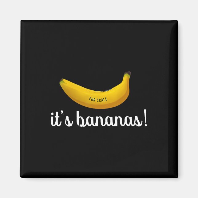 Íman Trump It's Banana (for Scale) Engraçado (Frente)