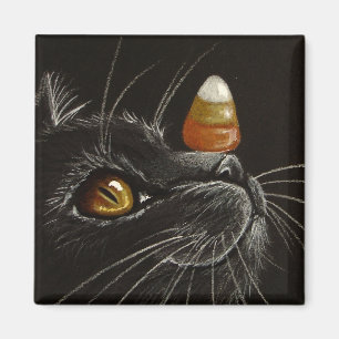 Íman Truque com deleites! - Ímã do gato preto & do