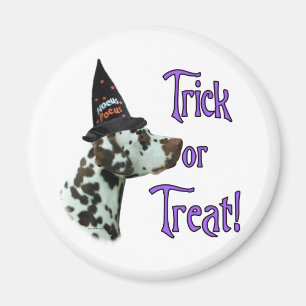 Íman Truque Dalmático (fígado)