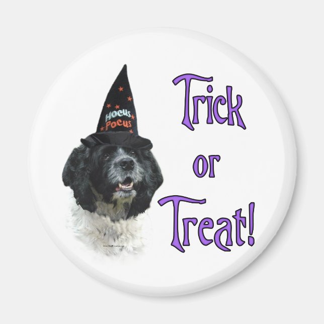 Íman Truque de Cocker Spaniel (Es) (Frente)