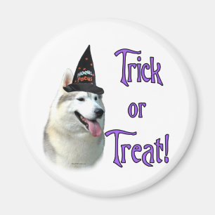 Íman Truque Siberian Husky