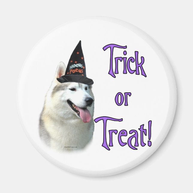 Íman Truque Siberian Husky (Frente)