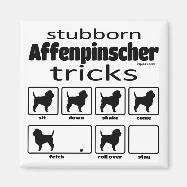 Íman Truques Affenpinscher Stubborn (Frente)
