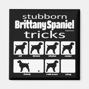 Íman Truques Brittany Spaniel Stubborn