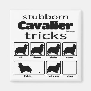 Íman Truques Cavalier Stubborn