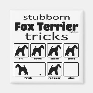 Íman Truques de Fox Terrier