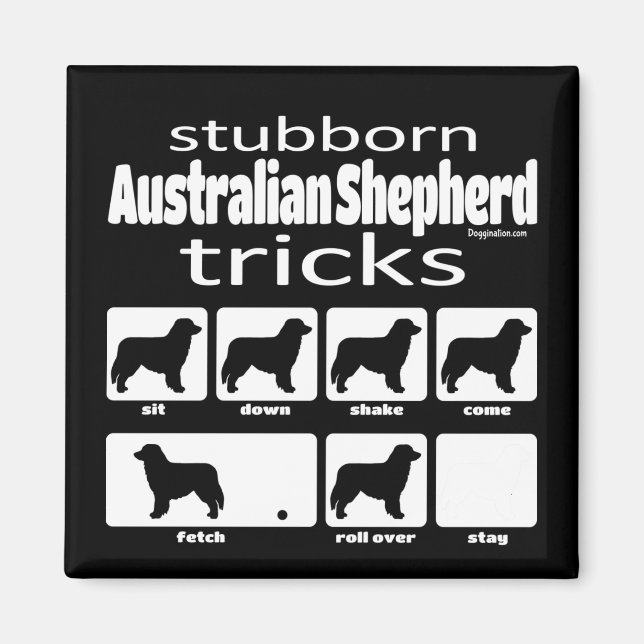 Íman Truques de Shepherd Australianos Stubborn (Frente)