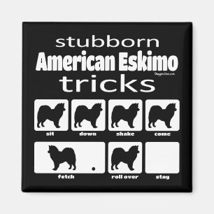 Íman Truques Eskimo Americanos Stubborn