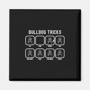 Íman Truques - Falha no treinamento de Bulldog Divertid