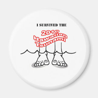 Íman tsunami no Havaí em 2010