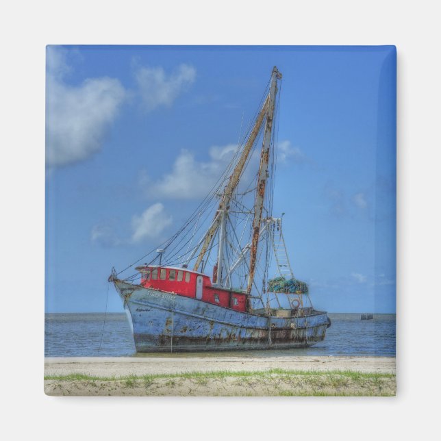 Íman Tubarão-Tigre (Frente)