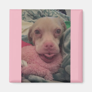 Íman Tucker Veste óculos com destaque cor-de-rosa