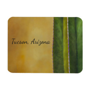Íman Tucson Arizona cactus