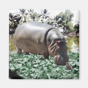 Íman Tudo bem que somos diferentes, podemos resolver