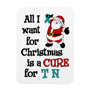 Íman Tudo O Que Quero Para O Natal... TN