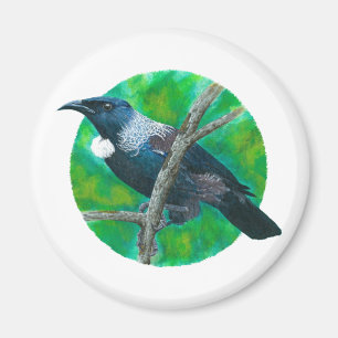 Íman Tui da Nova Zelândia - Pintura em acrílico