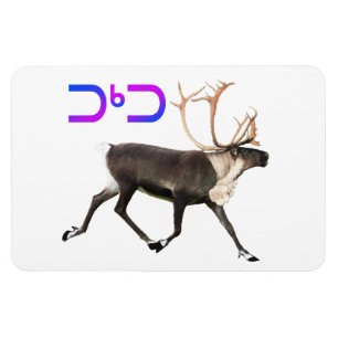 Íman Tuktu - Cariou