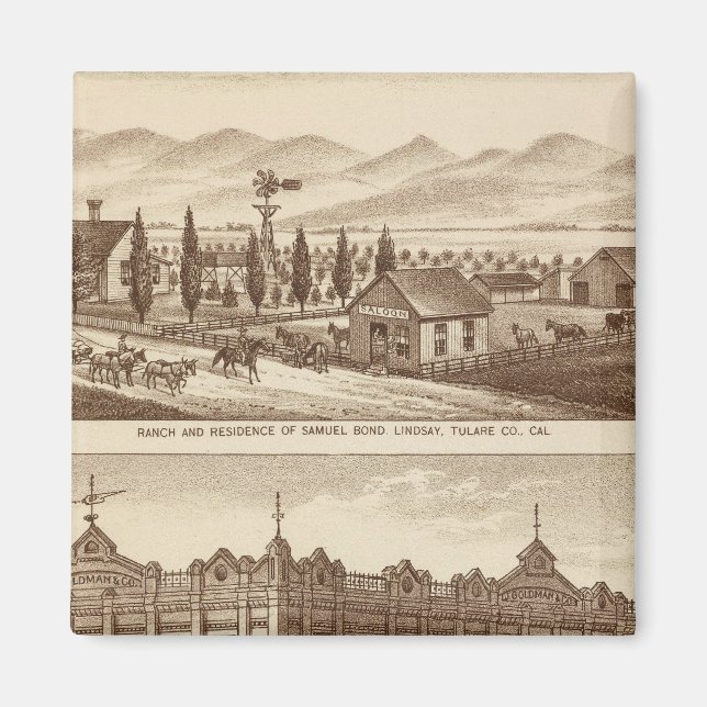 Íman Tulare Co Bank (Frente)