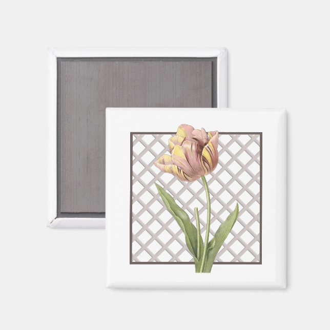 ÍMAN TULIP (Front/Back)