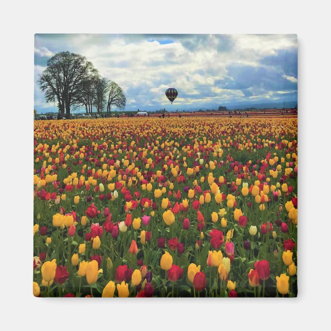 Íman Tulip Fazenda em Oregon (Frente)