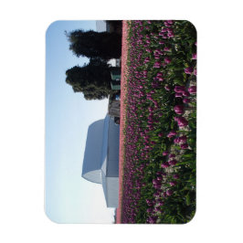 Íman Tulip Fields Acrylic Impressão