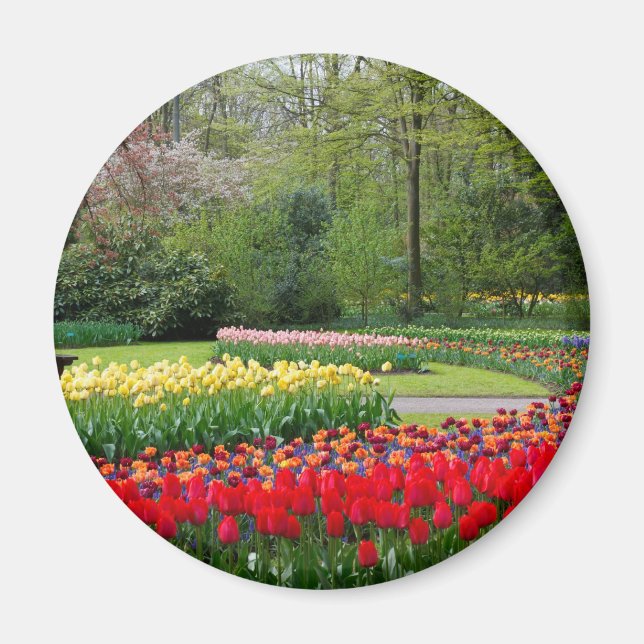 Íman Tulip Garden (Frente)