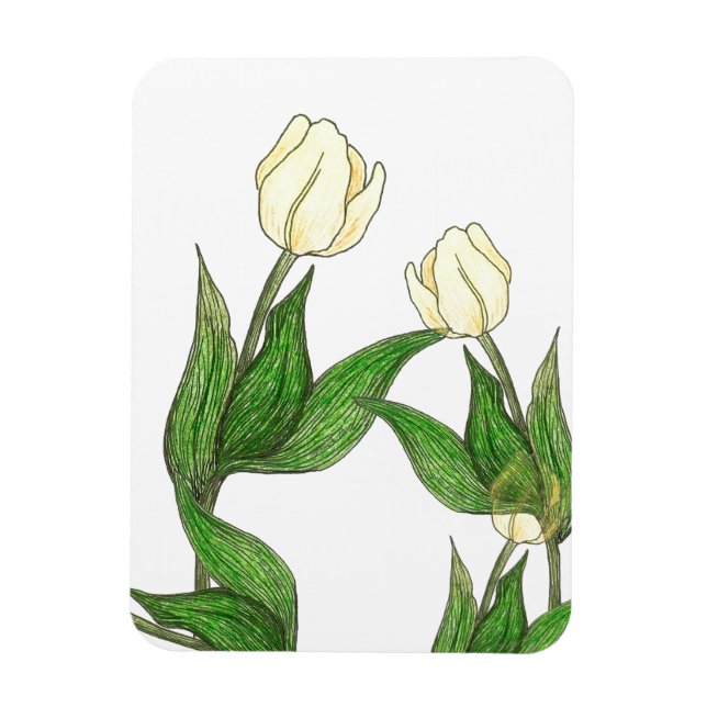 Íman tulip Magnet (Vertical)