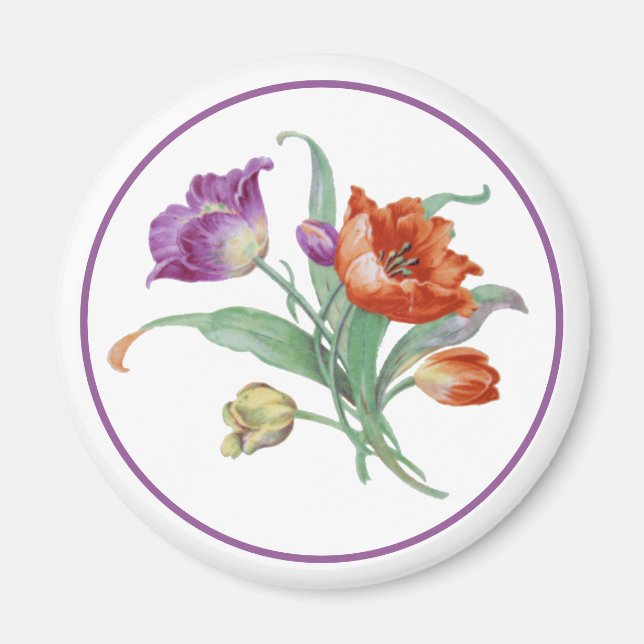 Íman Tulip Magnet (Frente)