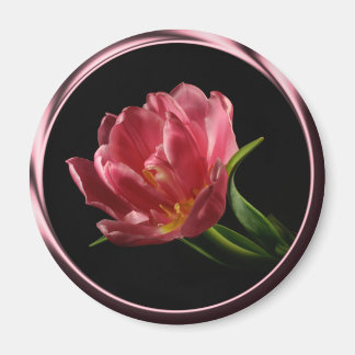 Íman Tulip No Magneto De Fotografia De Sangue Duplo Pri