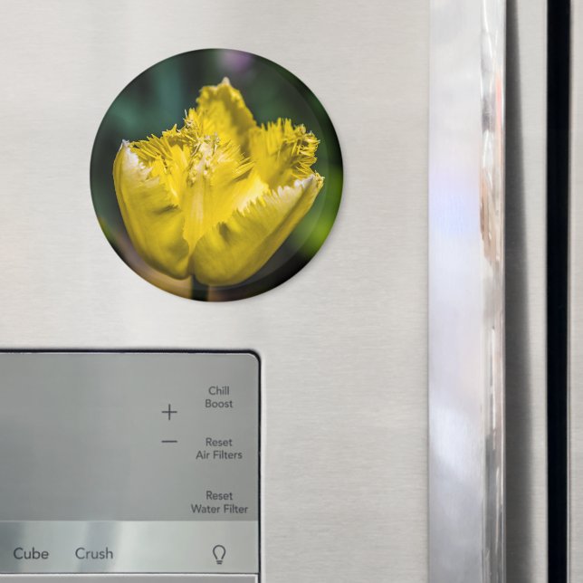 Íman Tulipa Amarela (In Situ (Fridge))