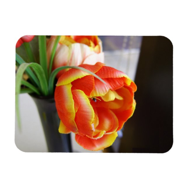 Íman Tulipa da Seda (Horizontal)