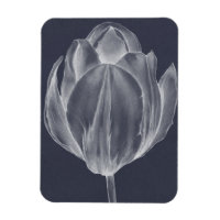 Tulipa monocromática I