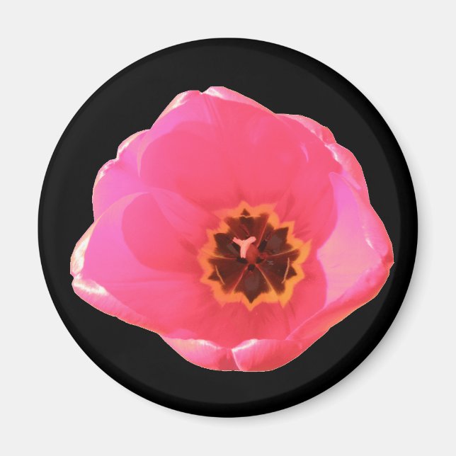Íman Tulipa Rosa (Frente)