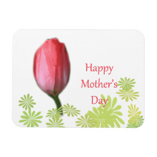 Íman tulipa vermelha, feliz dia das mães