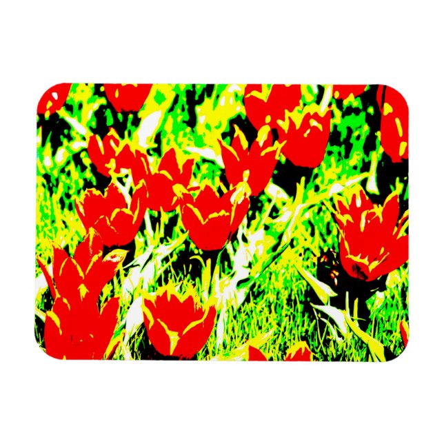 Íman Tulipas (Horizontal)