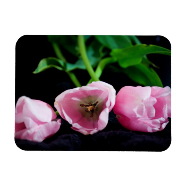 Íman Tulipas 3273 (Horizontal)