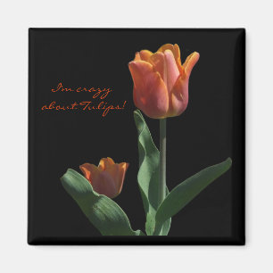 Íman "Tulipas alaranjadas "